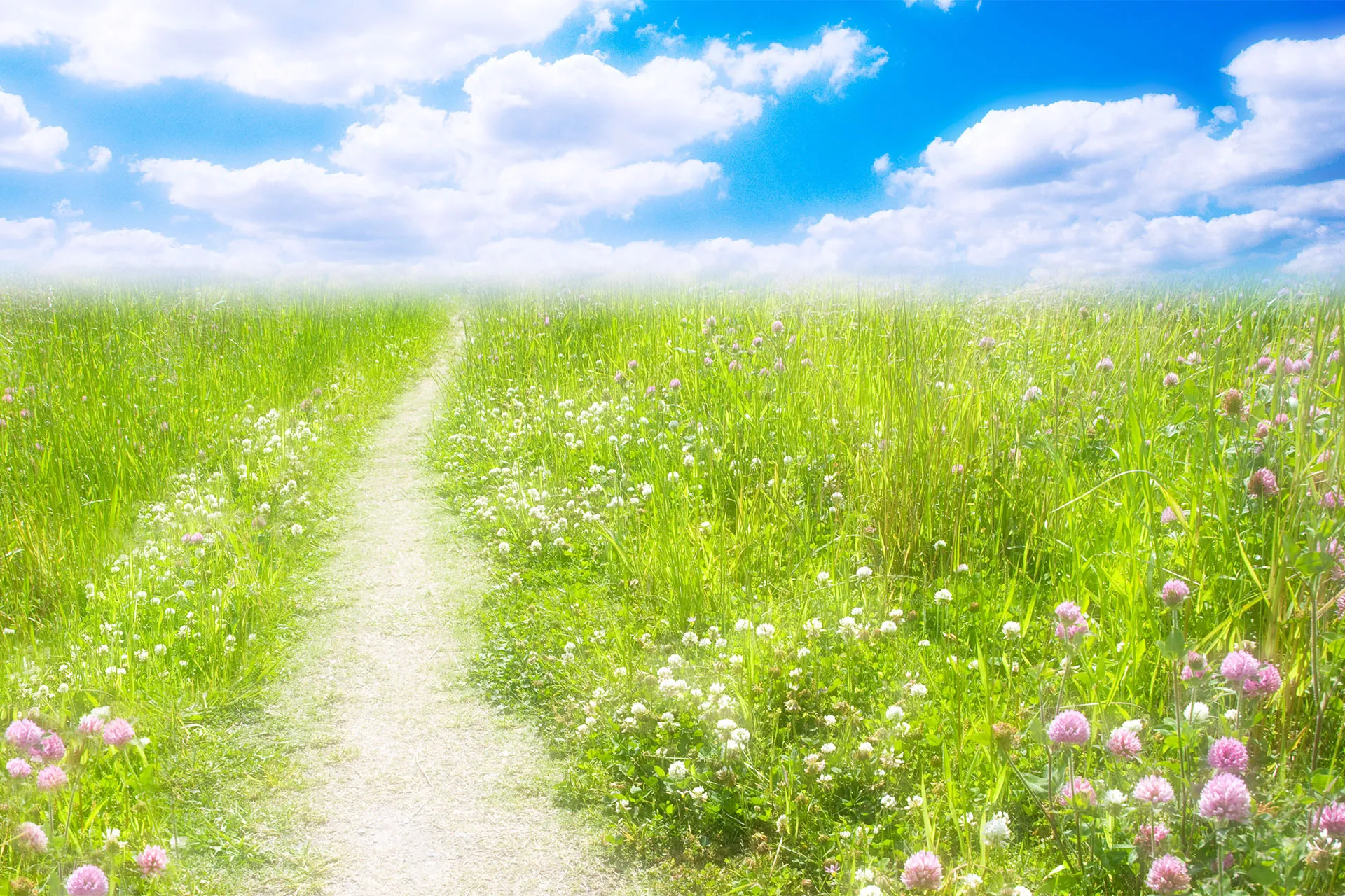 雲の上はいつも晴れ