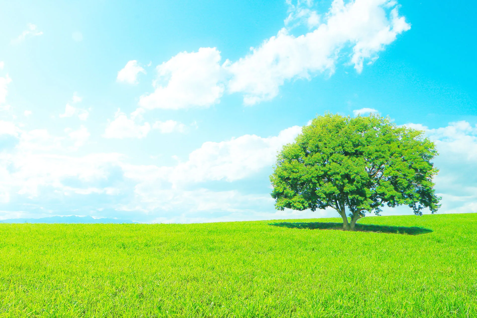 雲の上はいつも晴れ